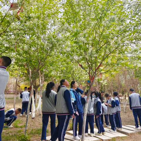 春生万物 学有芬芳  爱校荣校 学园乐园