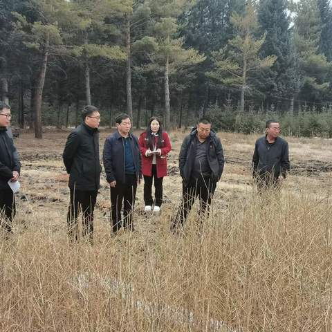 党组成员、副局长艾健深入牛汾台林场调研林木种苗工作