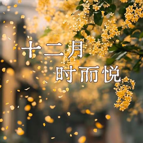 【链家物业】宝洲壹号院12月工作月报