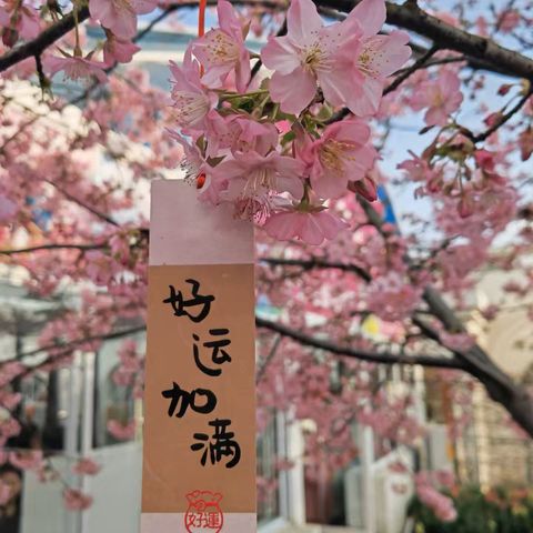 链家物业宝洲壹号院2026年3月工作月报