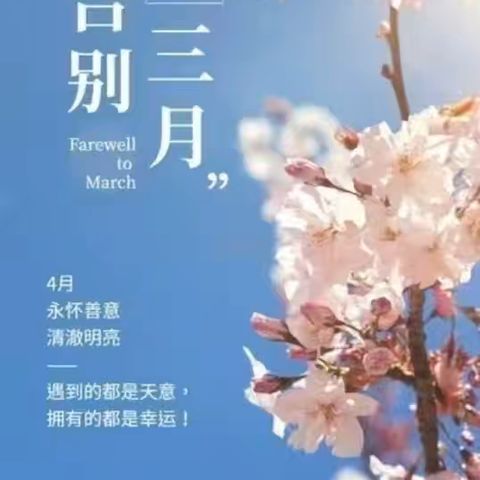 链家物业宝洲壹号院2026年4月工作月报