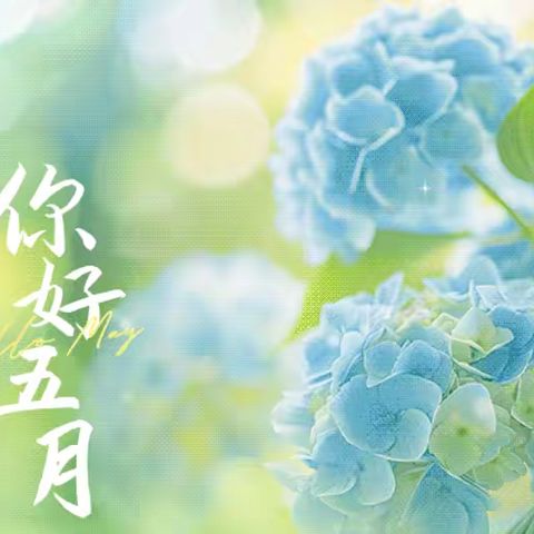 链家物业宝洲壹号院2026年5月服务月报