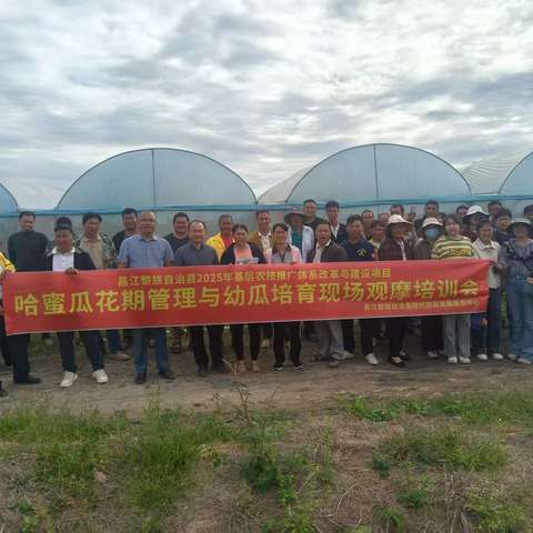 昌江县现代农业发展服务中心举办哈密瓜花期管理与幼瓜培育现场观摩培训会