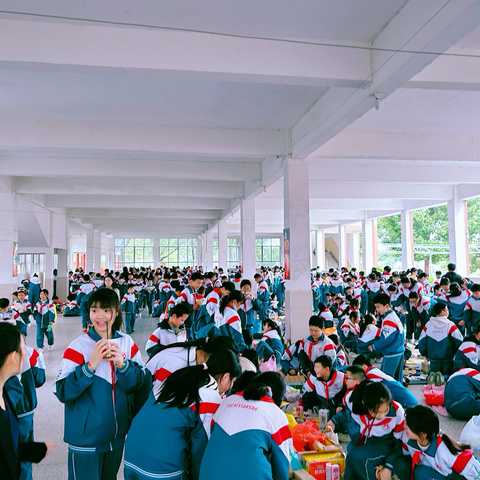 跳蚤小市场，人生大课堂——育才小学爱心跳蚤市场活动