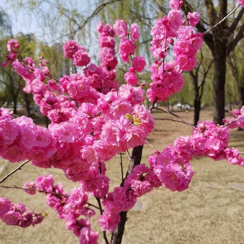 聚力赋能，蓄力待发——记泉波中心小学数学示范教学