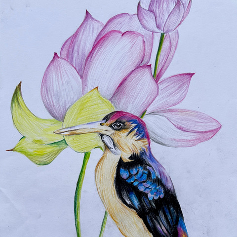 琼海市实验小学2023至2024年度彩铅社团优秀作品线上展