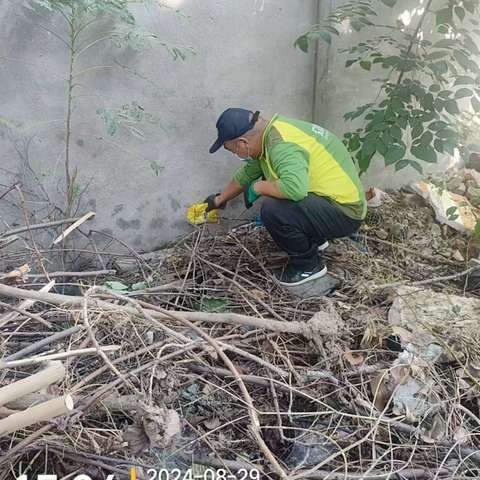 漯河市示范区病媒生物防制工作周报（八月）