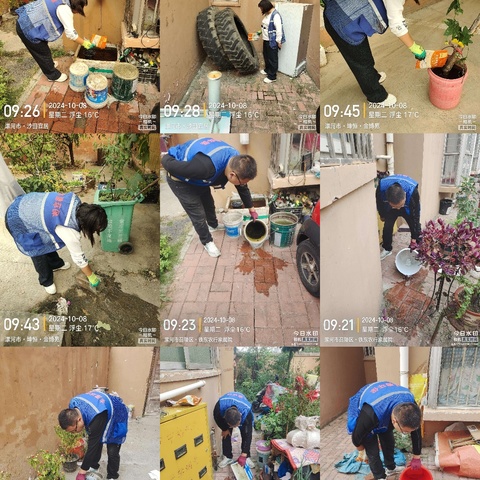 漯河市开发区10月病媒生物防制工作周报（1）