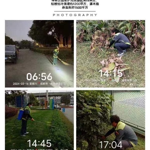 体育公园、神仙树公园、月牙湖楔形绿地绿化管护工作日报—— 2025年12月09日