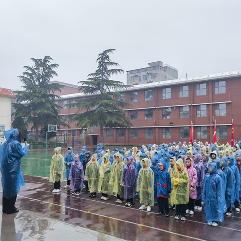 【社会实践篇】清明祭英烈 传承正当时——河津市第七小学烈士陵园扫墓活动纪实