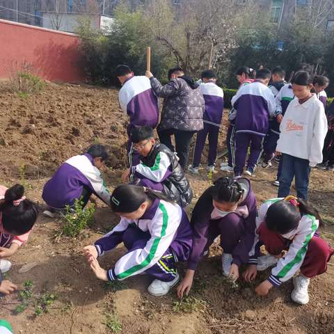 春耕正当时·播种新希望——向城镇中心小学劳动实践基地—翻地