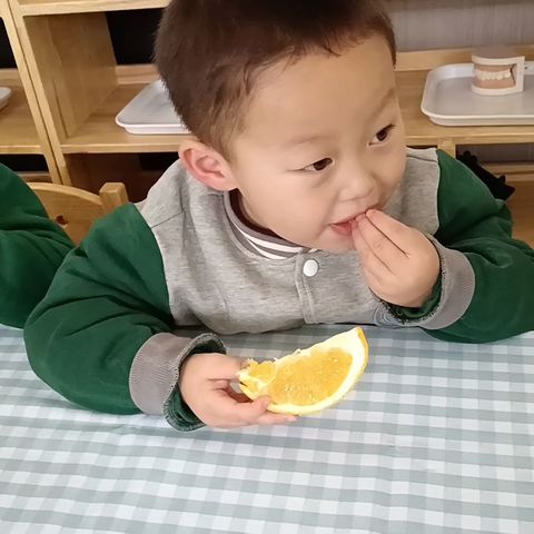 正宁县博苑幼儿园蒙A2班第二周精彩回放