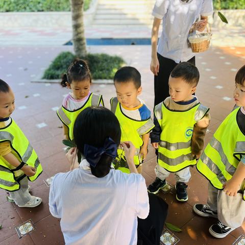 九月十月学习小结🐾