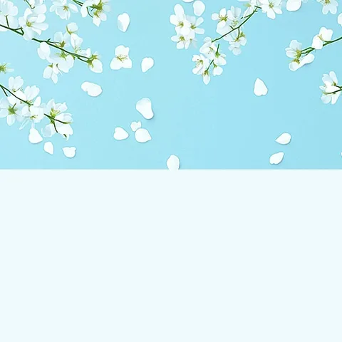 十二月学习小结