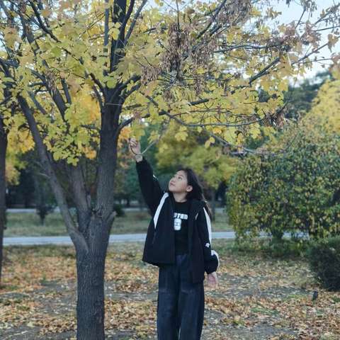 十月踏秋  在金色的季节里漫步