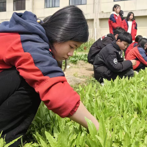 “拥抱春天，播种希望” 永丰县欧阳修学校劳动实践活动