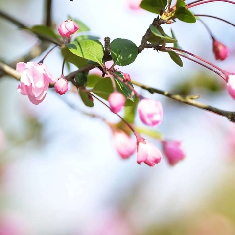 抚顺县海浪乡九年一贯制学校（中学部） -----三月工作纪实