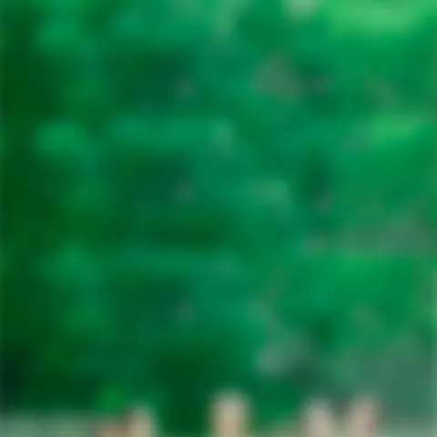 【德育】快乐一夏, “暑”你最棒——韶州小学部暑假德育作业清单