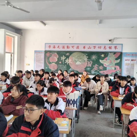 探索数学之美，共赏对称奇景