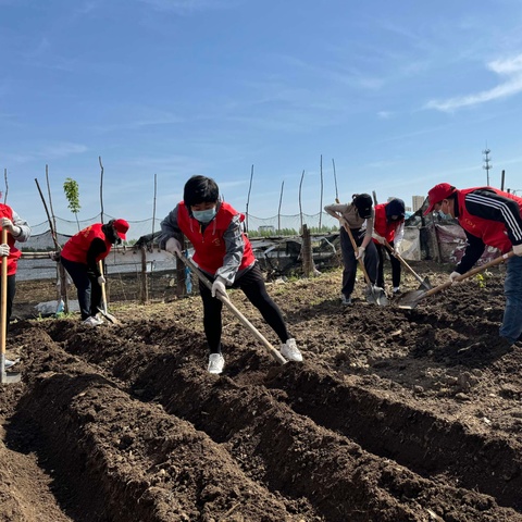 今日农耕忙 来日蔬果香
