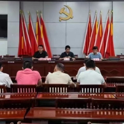 翰林镇开展预防登革热暨周末大扫除活动