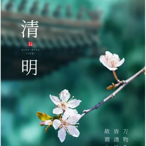 “人间四月天☀️·清明踏青时🍃” ——东新庄中心幼儿园清明节活动