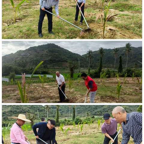 椰林镇开展“植树造林 人才先行”义务植树活动