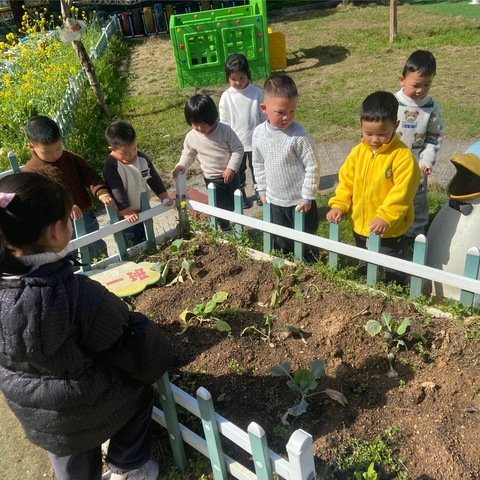 你好·春天—小五班