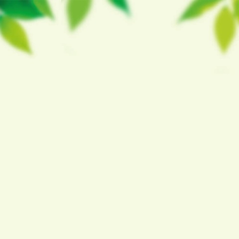 以数启智，以育铸魂——启聪部数学意识形态专题学习教研