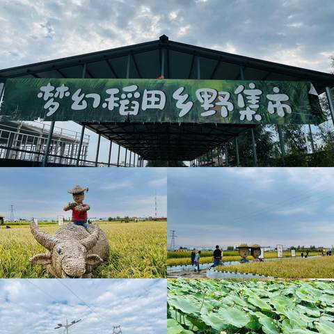 “畅享金秋，虾蟹绮梦”米东支行乐享荟