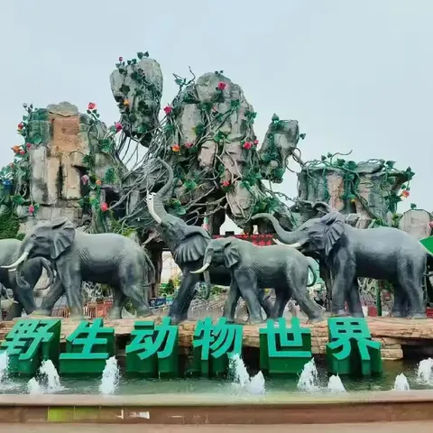 【心心&金童幼儿园军博园探秘之旅：童心向党，启航梦想】