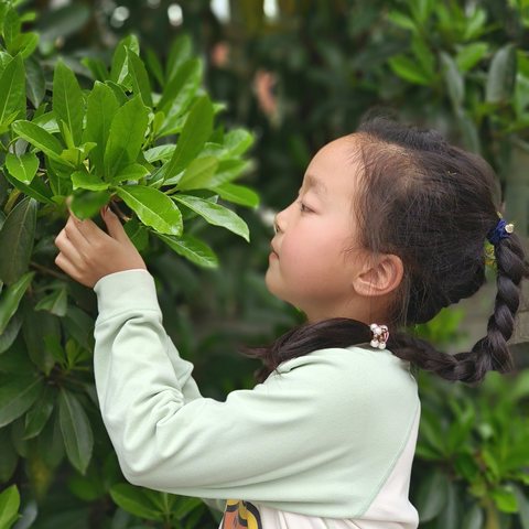 踏青季