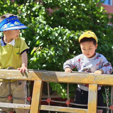 “暑”你精彩·成长可期——蓝天苑幼儿园暑期生活指导（七）