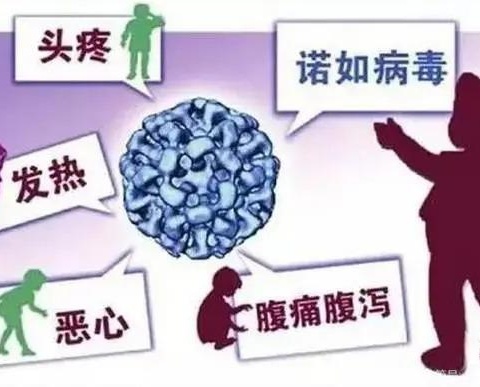 昆明市西山区古滇智光幼儿园——诺如病毒预防宣传