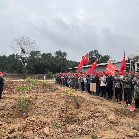 “植树添绿践初心·实干担当促发展” ——宝橡林产主题党日活动