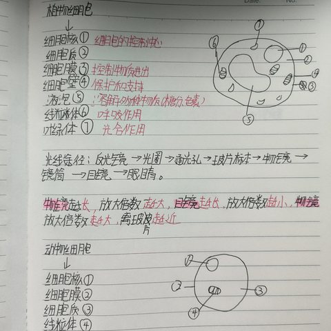 生物周末整理与归纳作业完成情况