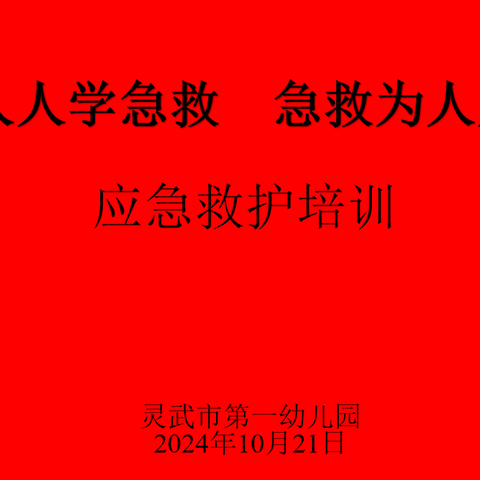 人人学急救    急救为人人——灵武市第一幼儿园应急救护培训