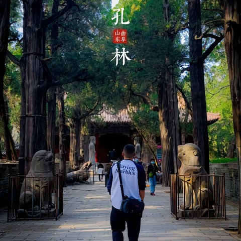 探寻历史，品味自然。 观儒家文脉，赏泉海之美！ 济南+曲阜+北戴河八日游！