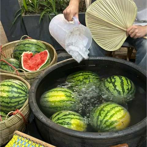 智晨幼儿园KD1班——“西瓜味🍉的夏天”