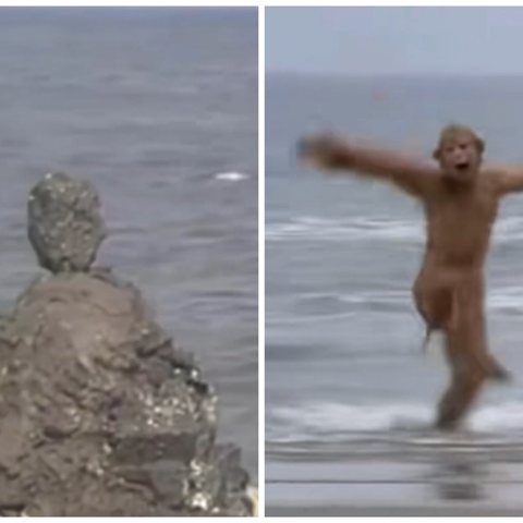 读古典名著、品民族文化——亭自头小学五2班语文汇报课《猴王出世》