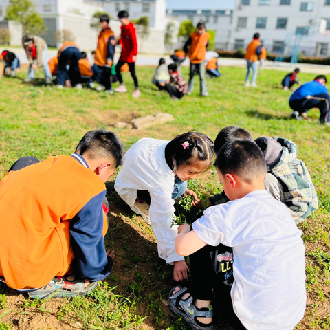 拔草除杂·以劳育美——明港镇第四小学清淮校区劳动主题实践活动