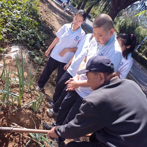 庆国庆          寻农耕文化 悟劳动之美