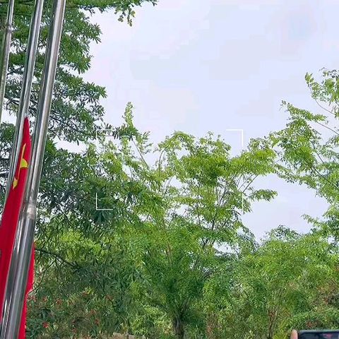 小熊1班本周美篇