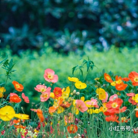 投递小朋友的日常📸 这世界总有人在偷偷爱你💞 每天看着你们在一点点进步👀 生活感觉更加美好🔆