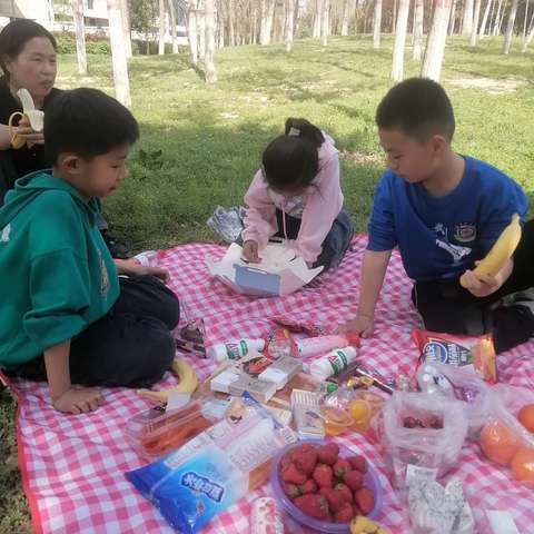 一起去野餐