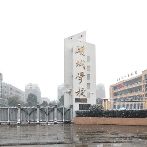 教研相长，众行致远——记湖城学校小学数学送教下乡优秀课例评选活动