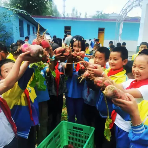 躬耕实践，以劳育德—马家堡学区小河小学