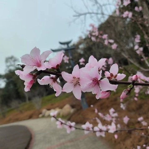 遇见花香，遇见佳节，遇见更美好的自己！