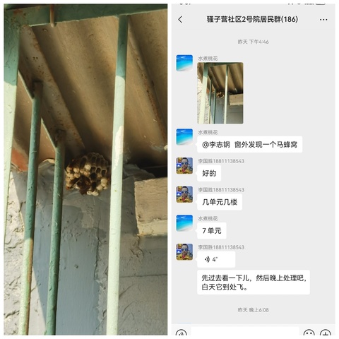 【社区动态】骚子营社区，闻“蜂”而动，消除隐患，确保居民安全。