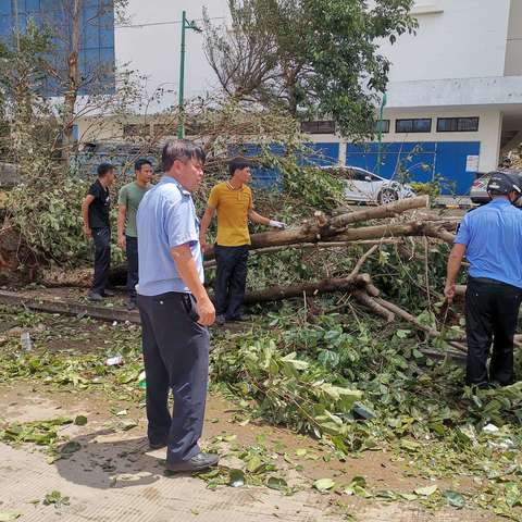 长流墟社区居委会全力开展灾后清障行动